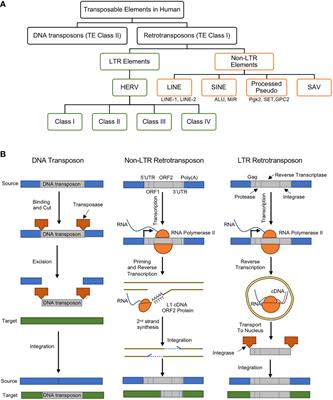 Systems Biology to Understand and Regulate Human Retroviral Proinflammatory Response